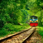 Sreemangal Day Tour